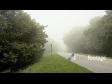 Fog over Road, US 2440